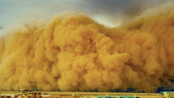 Visuel - Les Tempêtes